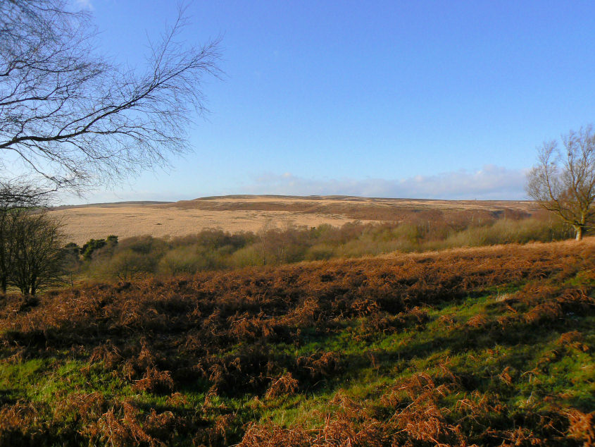 Big Moor Big Moor